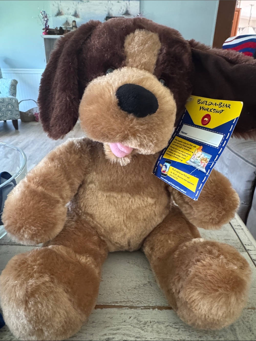 Build-A-Bear Brown Plush Puppy with Tag and Clothes 5 outfits and backpack